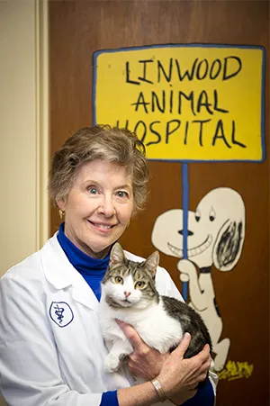 Linwood Animal Hospital Picture 7