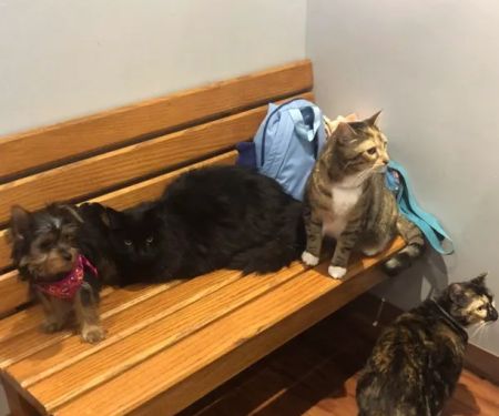 Belvidere Veterinary Hospital, A Thrive Pet Healthcare Partner