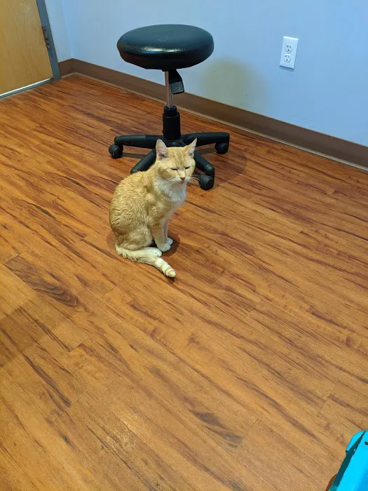 Belvidere Veterinary Hospital, A Thrive Pet Healthcare Partner Picture 8