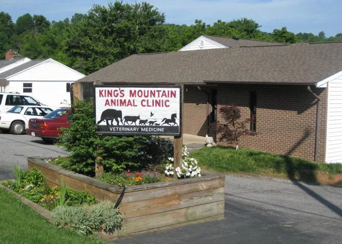 King's Mountain Animal Clinic Picture 3