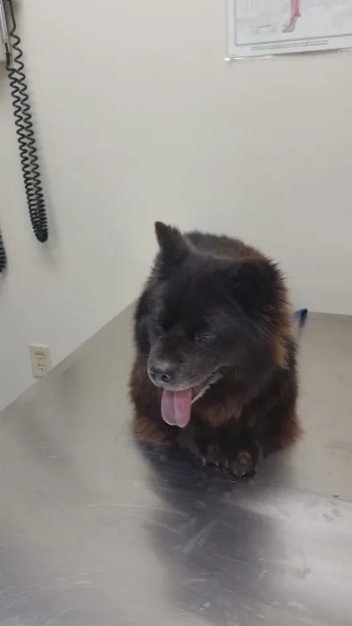 The Pet Clinic of Martinsville Picture 6