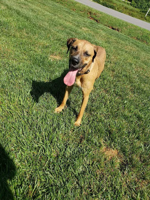 Boyce-Holland Veterinary Services Picture 3