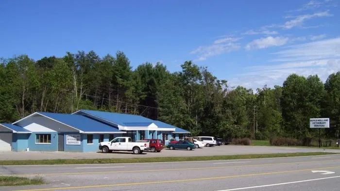 Boyce-Holland Veterinary Services Picture 7