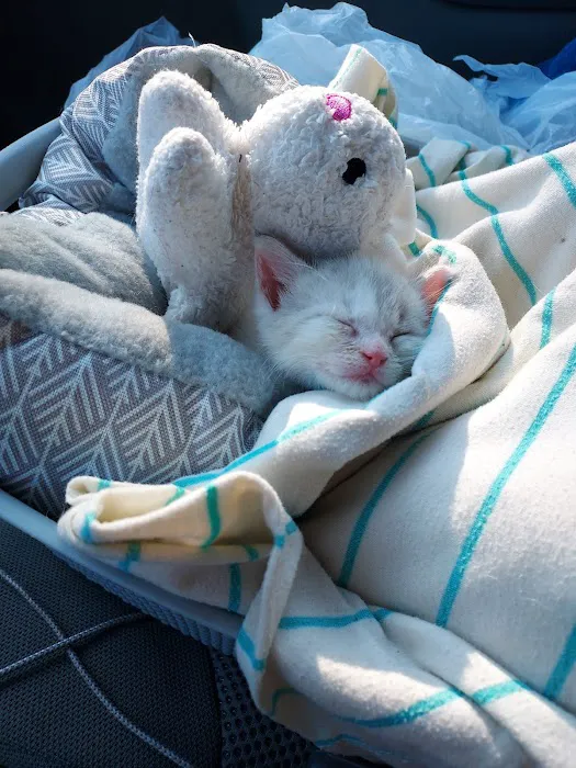 Animal Clinic Picture 1