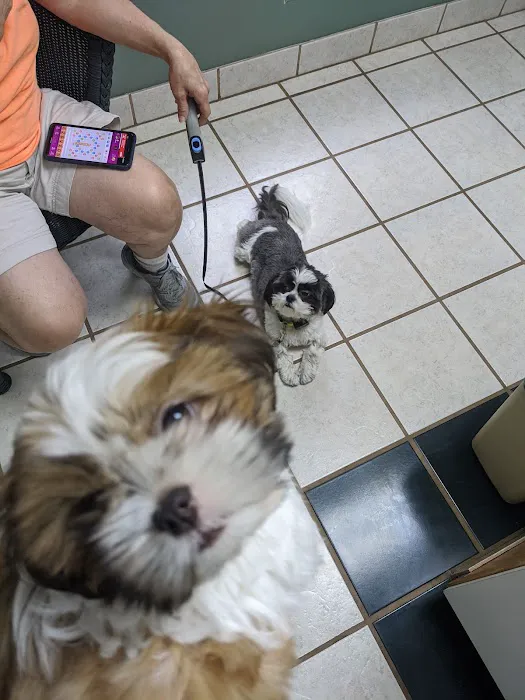 Animal Clinic Picture 3