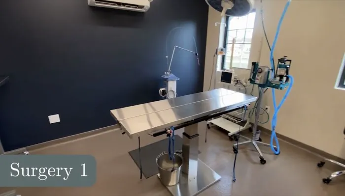 ADR Urgent Veterinary Care Picture 1