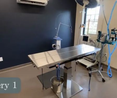 ADR Urgent Veterinary Care