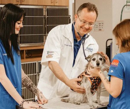 Danville Family Vet