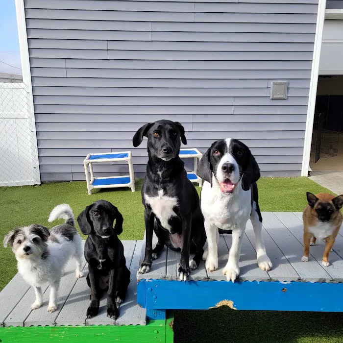 Danville Family Vet Picture 7