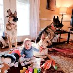 Animal Medical Center