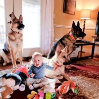 Animal Medical Center ico