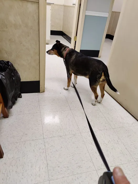Animal Medical Center Picture 6