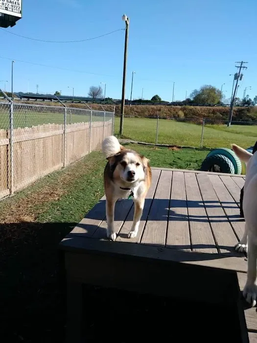 Animal Medical Center Picture 8