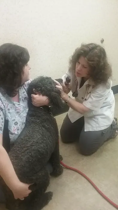 Animal Medical Center: Laura Luffman, DVM Picture 6