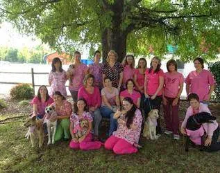 Animal Medical Center: Laura Luffman, DVM Picture 7
