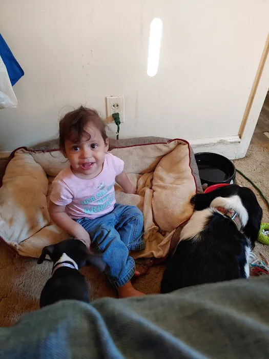Brosville Animal Clinic Picture 4