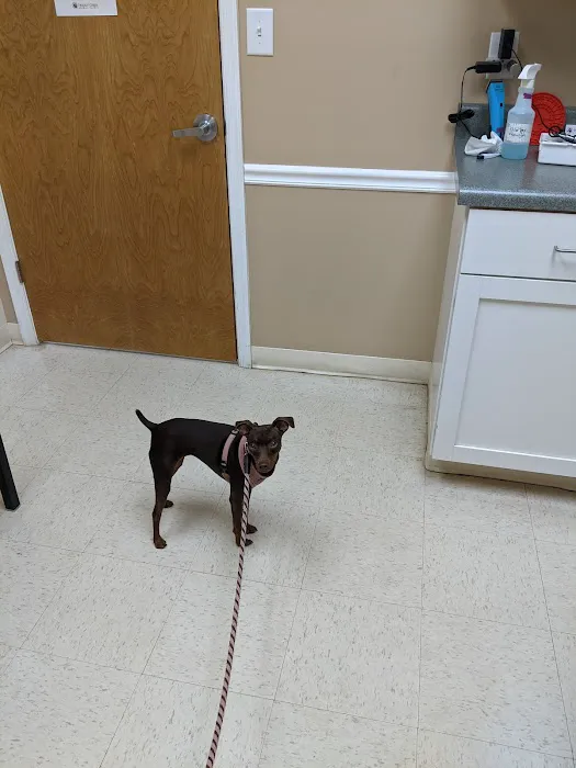Preddy Creek Animal Clinic Picture 5
