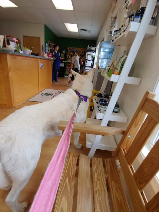 Preddy Creek Animal Clinic Picture 6