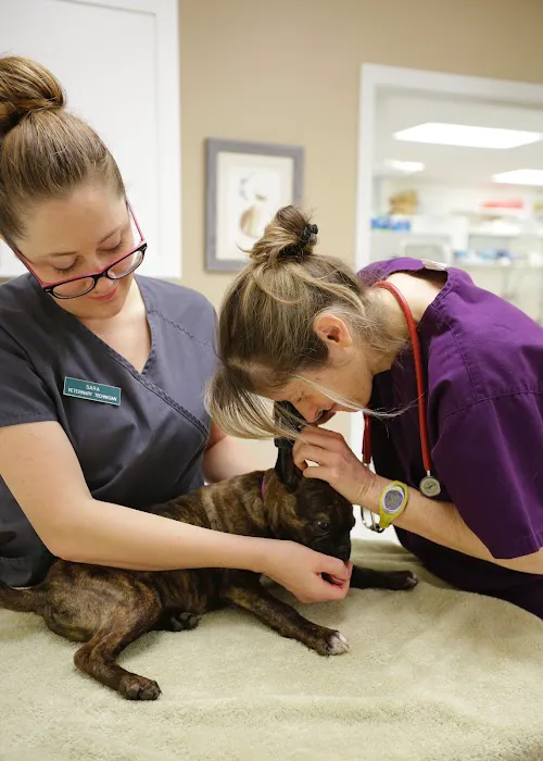Preddy Creek Animal Clinic Picture 8