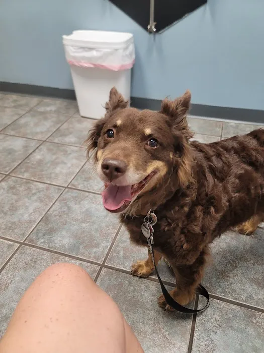 Garrettsville Animal Hospital Picture 4