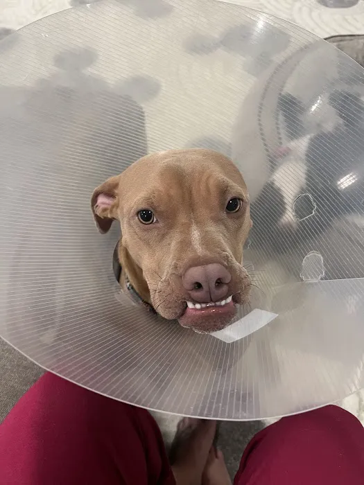Garrettsville Animal Hospital Picture 6