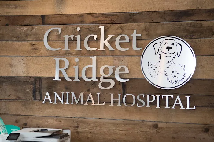 Cricket Ridge Animal Hospital Picture 3