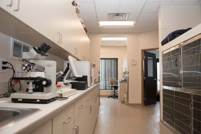 Cricket Ridge Animal Hospital Picture 7