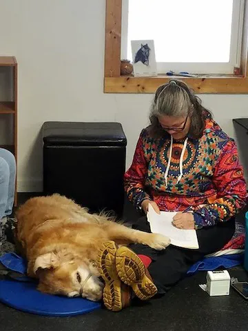 Pawsitive Results Animal Rehabilitation Center Picture 2