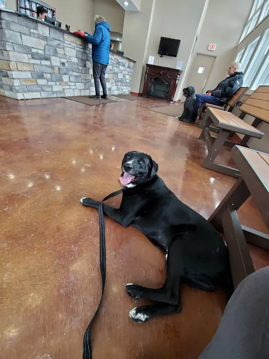 Silvercreek Veterinary Clinic Picture 4