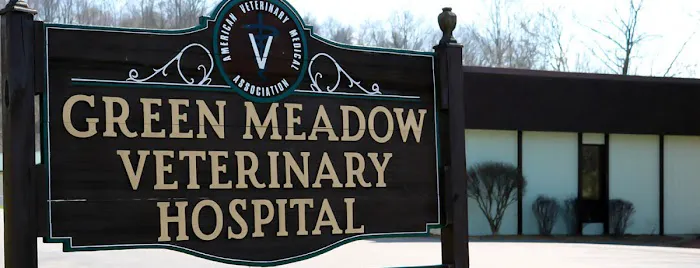 Green Meadow Veterinary Hospital Picture 4