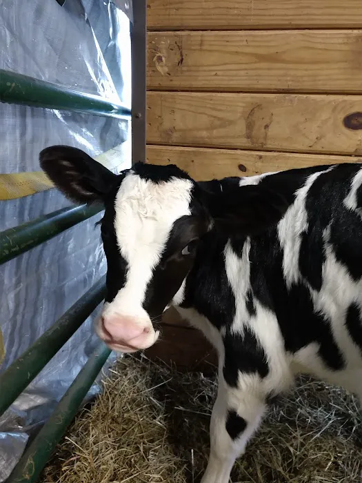 Green Meadow Veterinary Hospital Picture 9