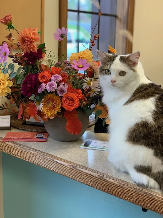 Green Meadow Veterinary Hospital Picture 8