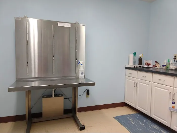 River City Pet Hospital Picture 4