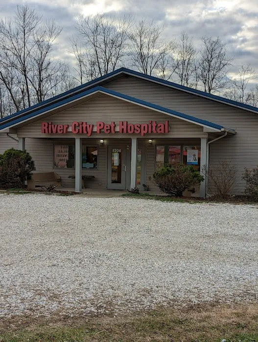 River City Pet Hospital Picture 5