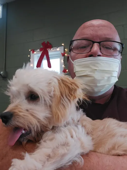 Williamstown Animal Hospital Picture 1