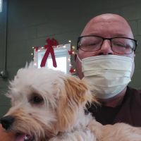 Williamstown Animal Hospital ico