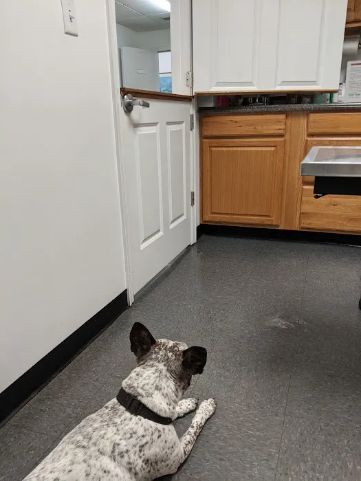Williamstown Animal Hospital Picture 4