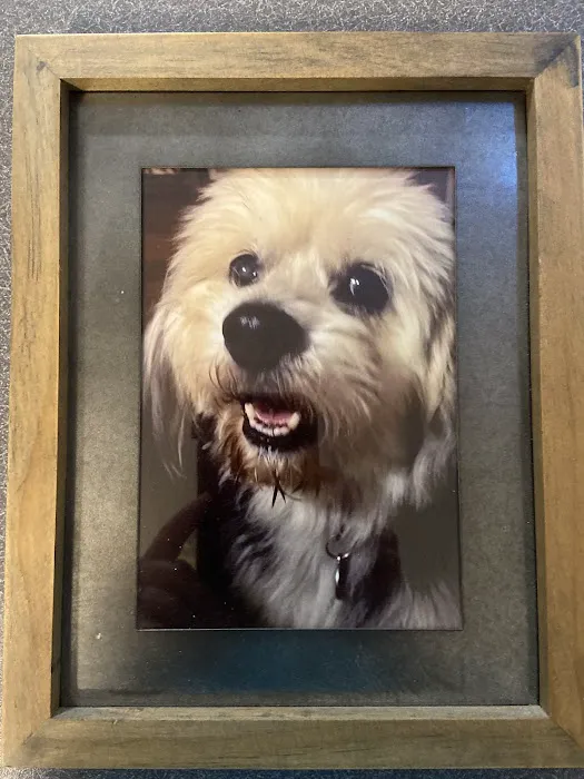 Williamstown Animal Hospital Picture 9