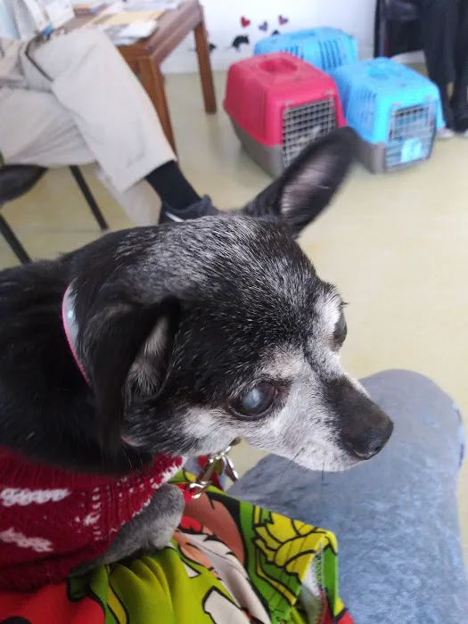 Ohio Valley Veterinary Hospital Picture 7