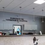 Parkersburg Veterinary Hospital: Shockey, Todd DVM