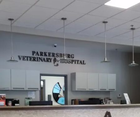 Parkersburg Veterinary Hospital: Shockey, Todd DVM