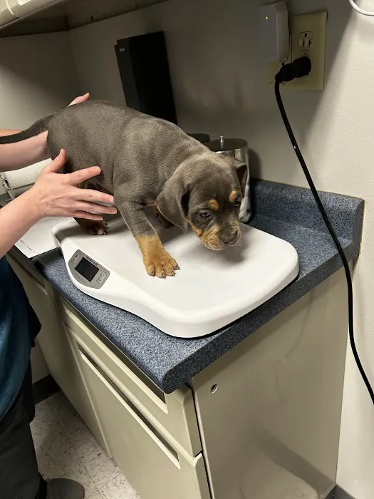 Parkersburg Veterinary Hospital Picture 9