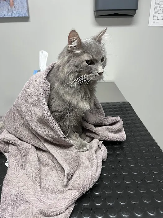 Parkersburg Veterinary Hospital Picture 10