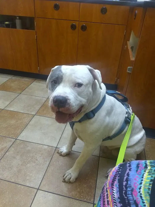Banfield Pet Hospital Picture 5