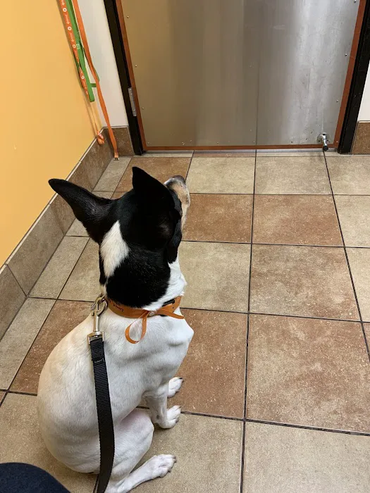 Banfield Pet Hospital Picture 8