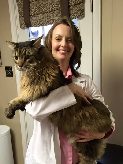 Lake Cable Animal Hospital Picture 4