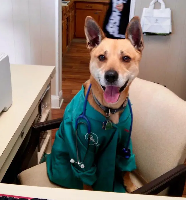 Lake Cable Animal Hospital Picture 6