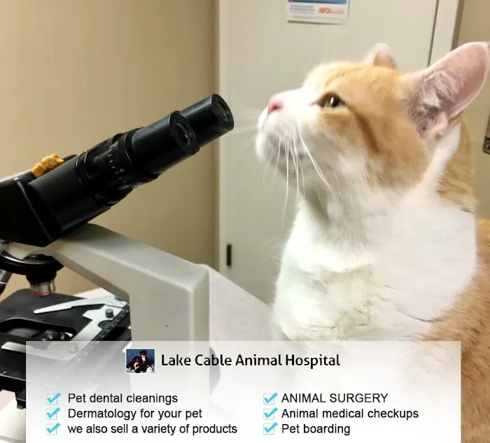 Lake Cable Animal Hospital Picture 9