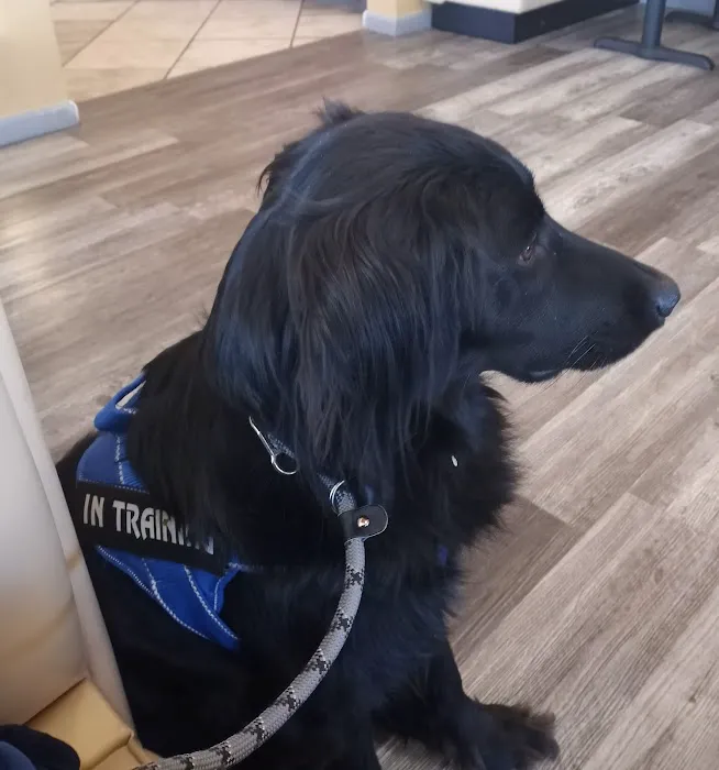 Companion Pet Care Clinic Picture 5