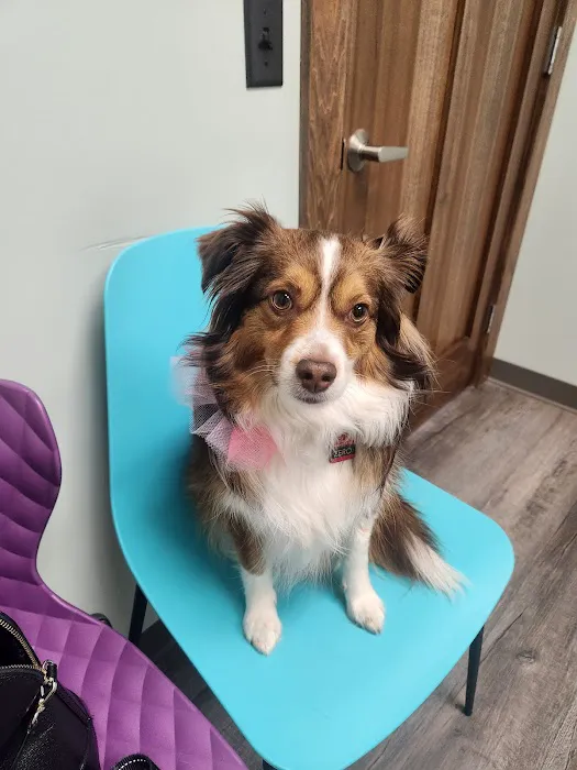 Aquadale Veterinary Clinic Picture 2